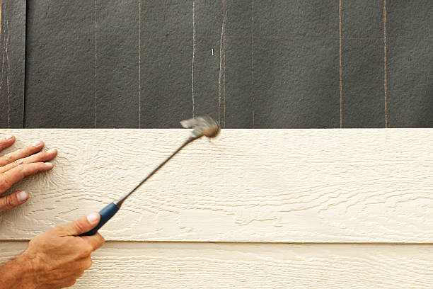 Best Vinyl Siding Installation  in Brownsville, TN